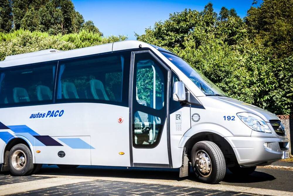 Cual es el precio de un minibus de 15 plazas